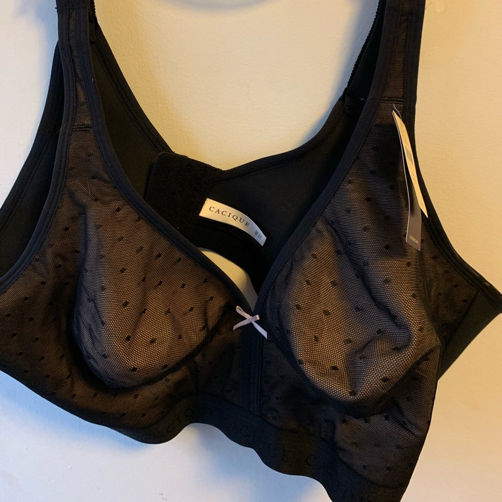 Wire Free Plus size Bra